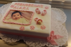 torte003