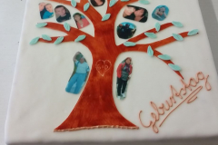 torte011